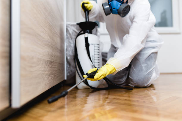Best Bed Bug Extermination  in Sylvania, OH