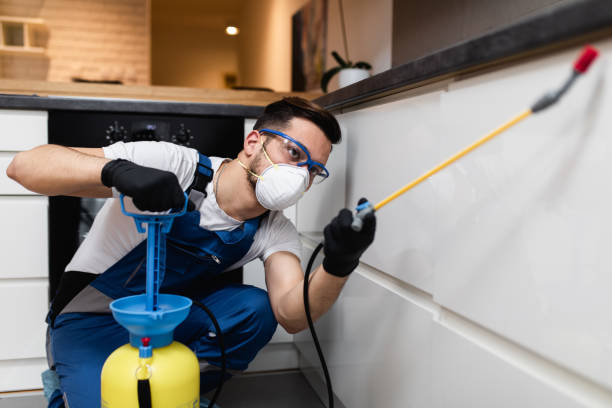 Best Pest Inspection Near Me  in Sylvania, OH