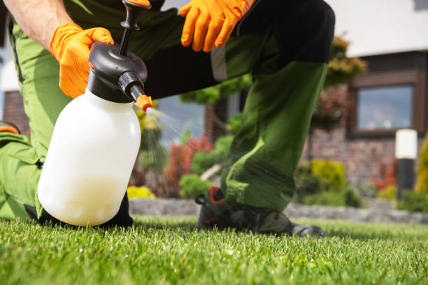 Trusted Sylvania, OH Pest Control Experts
