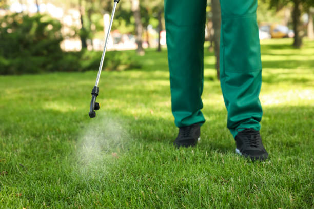 Best Pest Removal Services  in Sylvania, OH