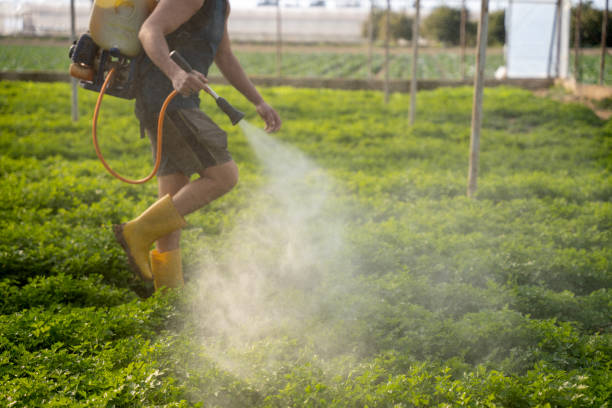 Best Residential Pest Control  in Sylvania, OH