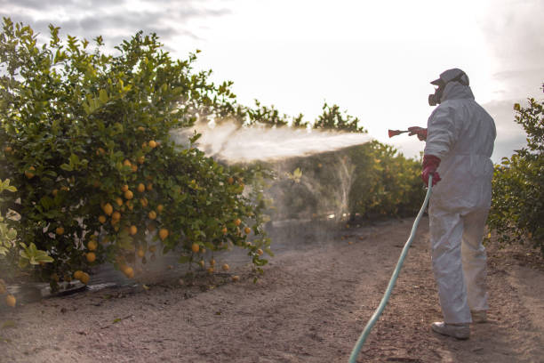 Best Mosquito Control Services  in Sylvania, OH