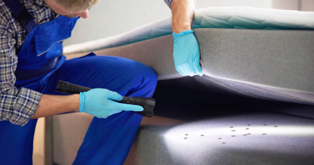 Best Emergency Pest Control  in Sylvania, OH