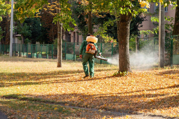 Best Local Pest Control Services  in Sylvania, OH