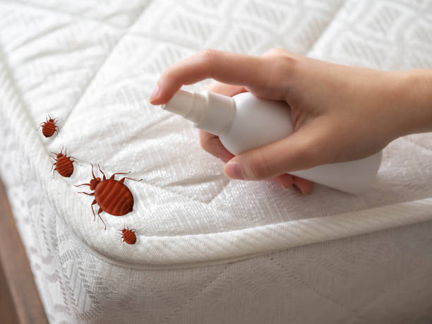 Pest Prevention Services in Sylvania, OH