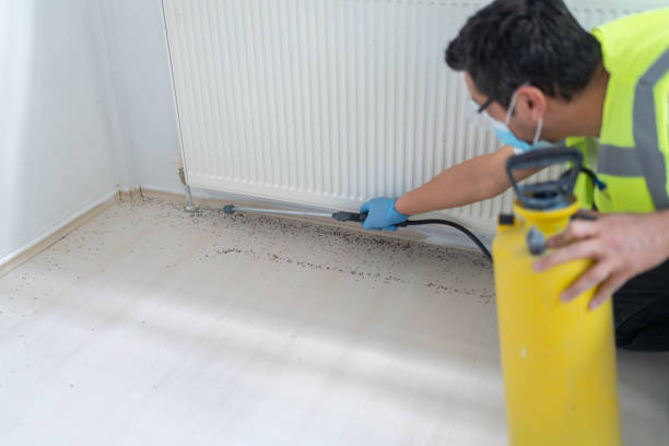 Best Affordable Pest Control Services  in Sylvania, OH